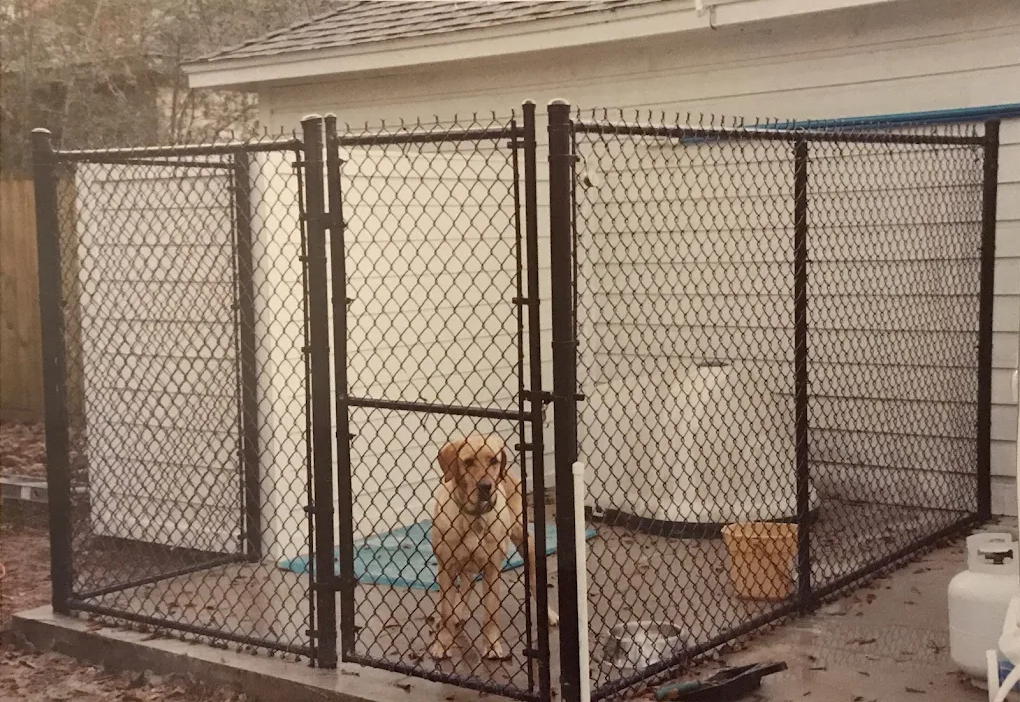 Pet kennel chain link enclosure