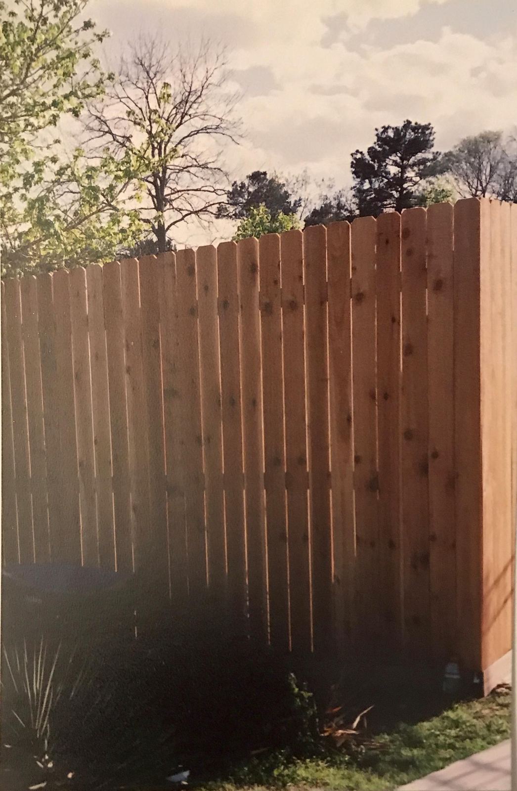 Cedar privacy fence with dog-ear pickets