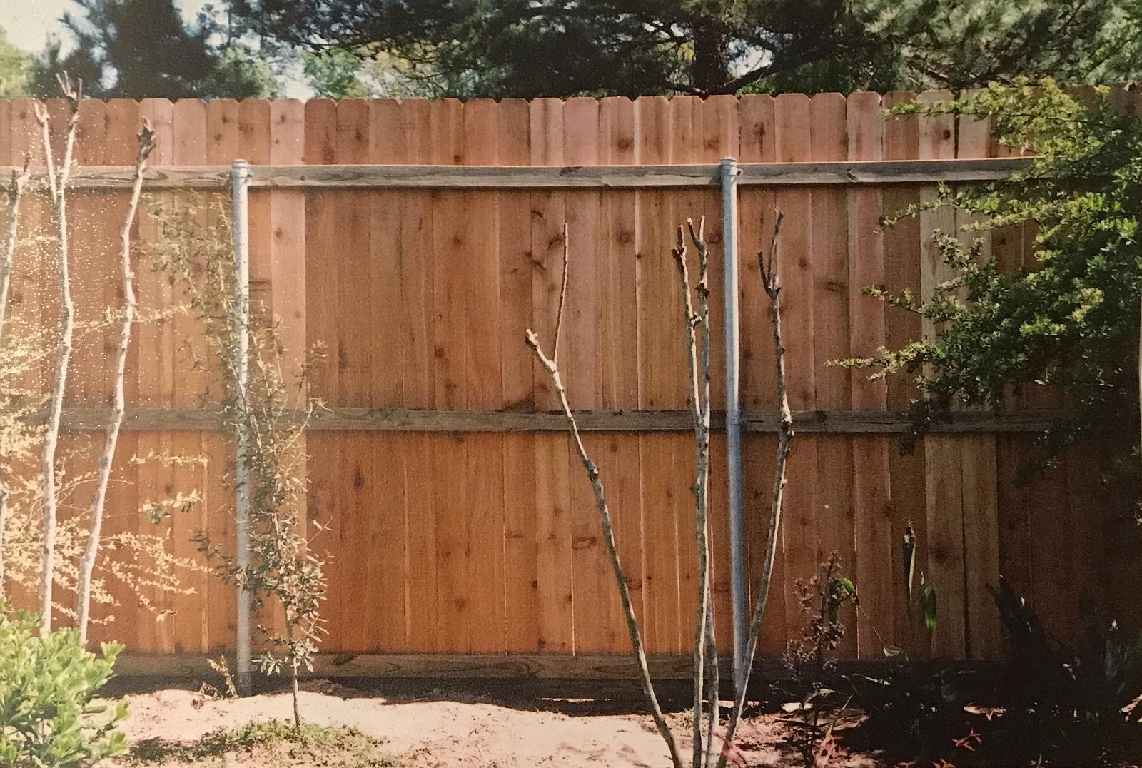 Cedar privacy fence with steel line posts