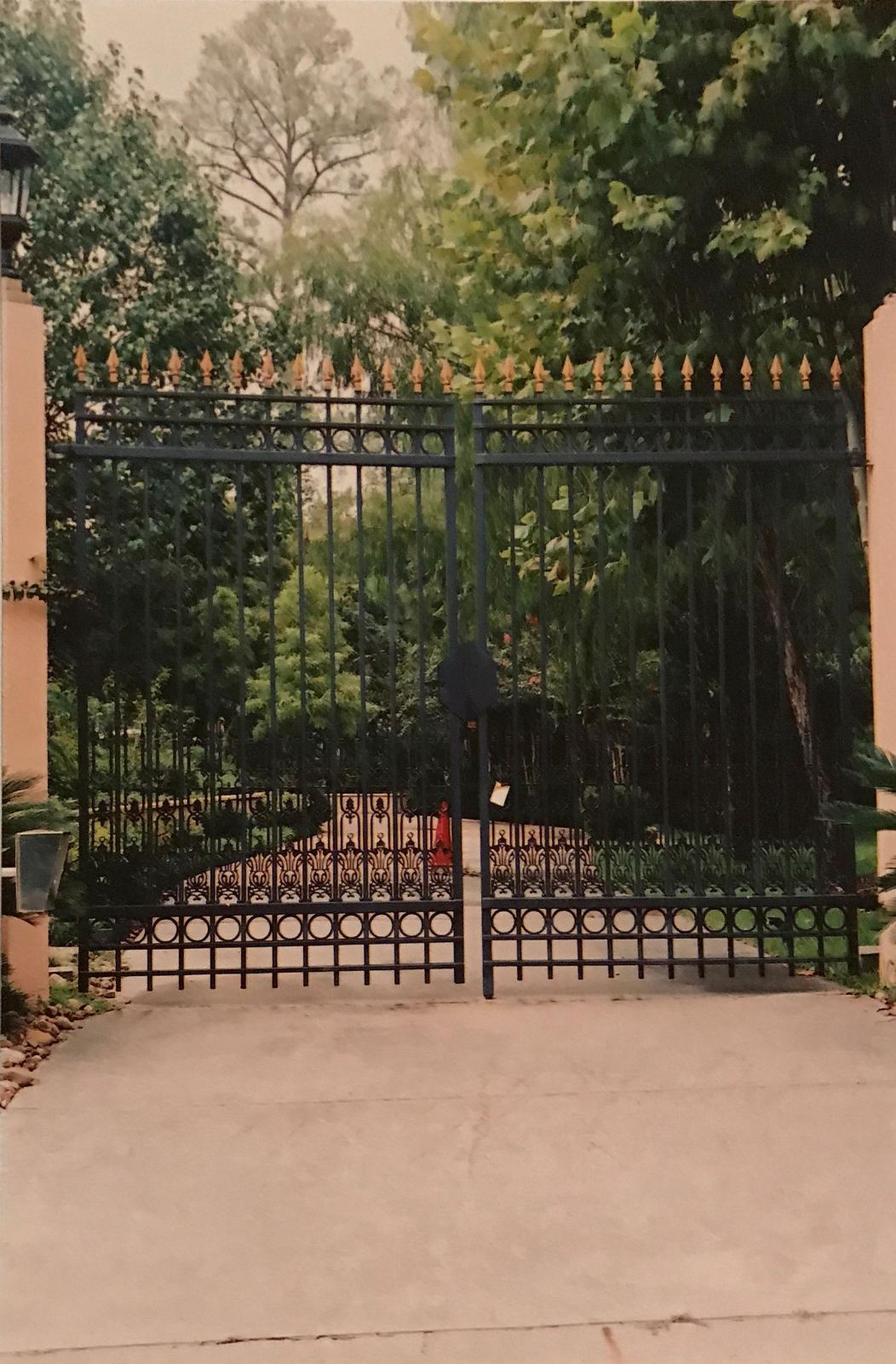 Custom Ornamental Iron Entrance Gate with Access Control